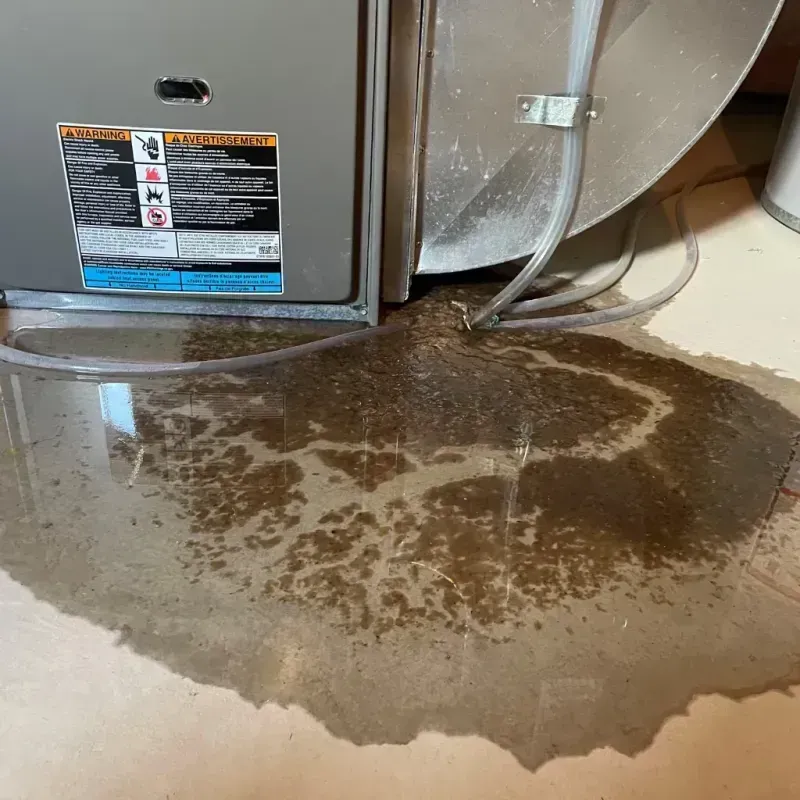 Appliance Leak Cleanup in Shelby, OH